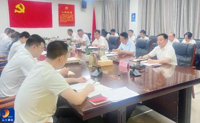 V视丨吴涛参加县政府办支部主题党日活动时强调：以忠诚铸魂 以实干立身 以清廉聚力 打造高水平服务保障队伍