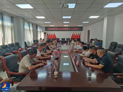 【弘扬三大精神 奋力建成支点】大畈镇：政企同心谋发展 携手共绘新蓝图