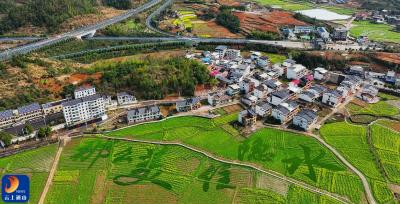 湖北通山：隐水村振兴记