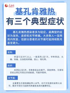 基孔肯雅热可防可控可治 6图掌握关键要点 