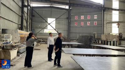 通羊镇擎起支点建设大旗  百项工程赋能咸宁五大行动  