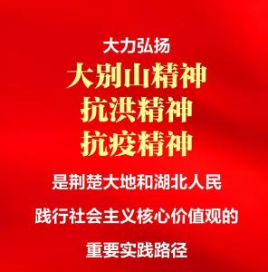 “弘扬三大精神 奋力建成支点”海报（五）