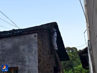 厦铺镇政府出手“捅了马蜂窝”，解了民忧