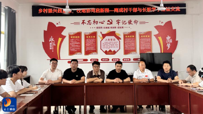 九宫山镇南成村：乡村振兴践履志  校地协同启新程