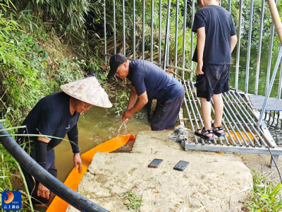 九宫山镇横石村：主动清渠引活水 抗旱保田解民忧