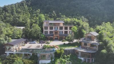 【此心安处是吾乡】V视丨黄早恩：“林上美宿”点亮乡村文旅新图景