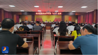 南林桥镇开展2025年“七一”活动