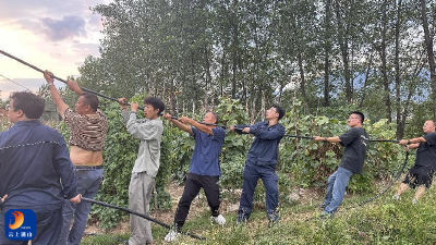 九宫山镇南成村：干群同心战旱情 电力抽水保民生