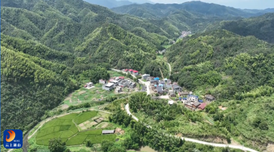 通山：凡人善举点亮文明之光