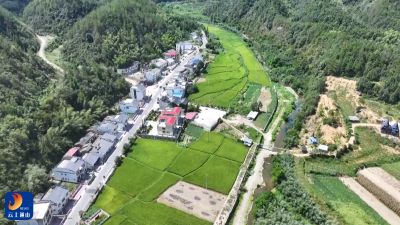 【倡导移风易俗 弘扬文明新风】V视丨九宫山镇熊家畈湾：村民自治浇开移风易俗文明花