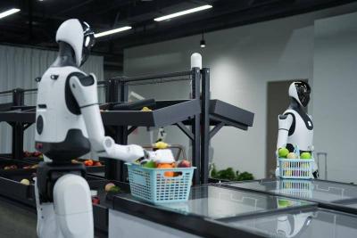 人形机器人要从“炫技”走向“干活”