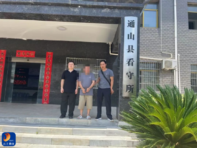 周末 “办事员”竟是盗窃惯犯，通山警方10小时擒获归案  
