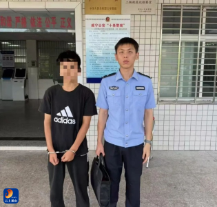 专盯“僵尸摩托”下手？通山警方破获系列盗窃摩托车案