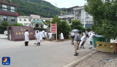 南林桥镇：人居环境整治纵深推进 卫生院助力防蚊工作  