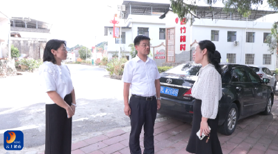 V视丨县领导前往苦竹林村调研党建引领基层治理与集体经济发展工作