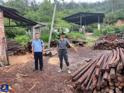 几十根杉木不翼而飞？通山公安民警“火眼金睛”速破案