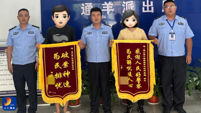 暗夜 “幽灵” 十二盗，通山警方利剑出鞘斩凶顽
