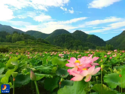 保山青水绿护城靓村美——通山县生态环境分局当好生态环境“守护神”