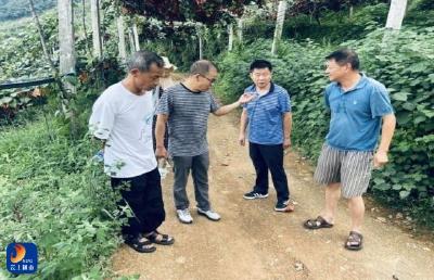 县职教中心协同县农业农村局组织专家赴“山优果农业开发有限责任公司”猕猴桃生产基地调研指导 