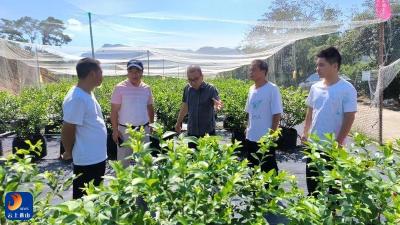 县职教中心与县农业农村局联合调研蓝莓基地