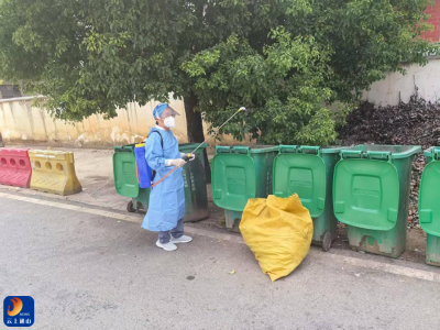 南林桥镇：合力推进防控灭蚊行动