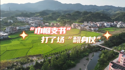金凡：“巾帼支书”打了场“翻身仗”
