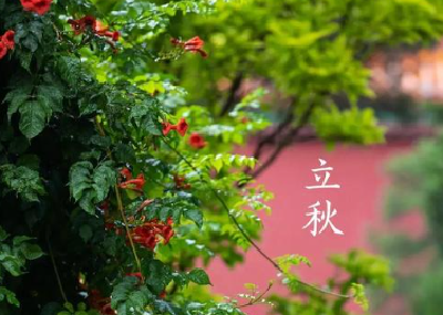 【凤池夜读】第936期丨邓阳朗读《立秋——笑迎收获满满，拥抱美景万千》