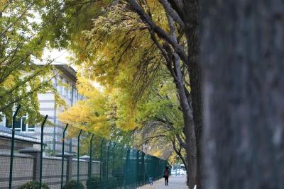 今日出伏！高温持续、温差拉大，这五件事不宜做