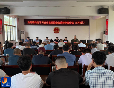 洪港镇：以“万事有解”担当绘就发展新篇