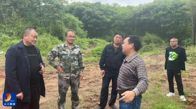 啃最难啃的“骨头” 攻最难攻的“山寨”   黄沙铺镇各级人大代表克难奋进攻 跑出项目建设高速度