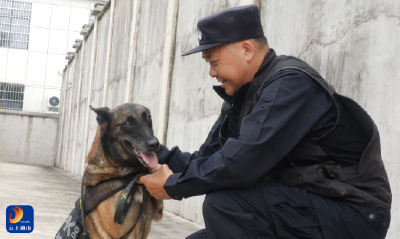 V视丨警犬“卡拉”：两度深山搜救失联老人 5年坚守书写忠诚担当