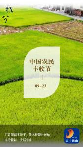 海报｜大地鎏金时  共庆丰收年