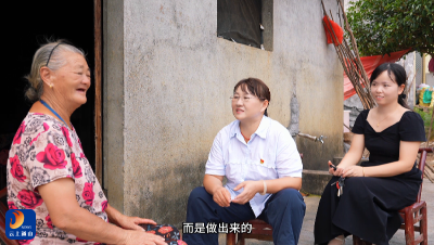 铿锵玫瑰——王智平的乡村振兴之路