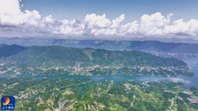 【短视频】鹿鸣竹海间 大竹村的振兴之路