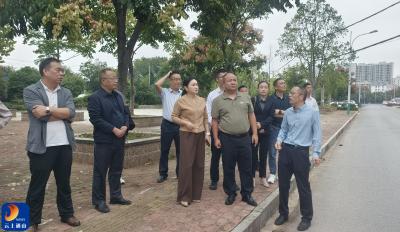 县领导调研城区空中环境管线网专项整治工作