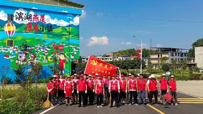 【图文】通山：党员干部齐上阵 洁城行动展新风