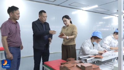 V视丨县领导调研“双节”前工业企业安全生产