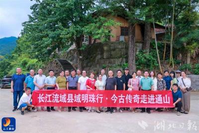 文艺名家“长江流域县域明珠行”活动走进通山 
