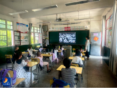 南林桥镇各学校开展开学第一课活动