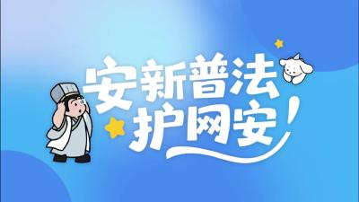  《安新普法护网安》