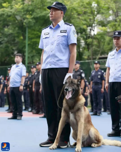 通山“汪星警员” 卡拉屡立奇功！两度闯山林找回走失老人