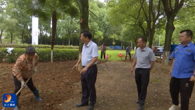 V视丨县城管局高效推进市容环境整治行动