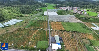 【贯彻县委全会精神 强化万事有解、奋力担当作为】V视丨通羊镇党委：以“万事有解”的决心 奋力锻造“经济强镇”增长极