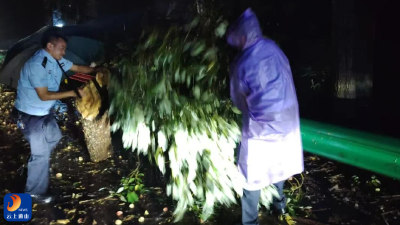 暴雨突袭返程路 通山公安火速清障护平安