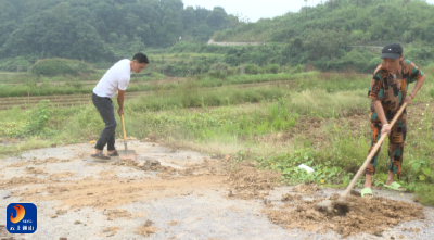 V视丨通山：秋播油菜正当时 静待来年好“丰”景