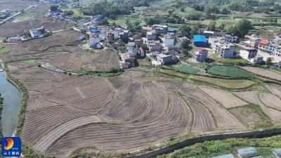 V视丨大路乡杨狮坑村：“甜蜜产业”激活农旅融合