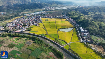 【通山美景㉛】通山县闯王镇汪家畈村：一条沿河路  走出干群同心新气象
