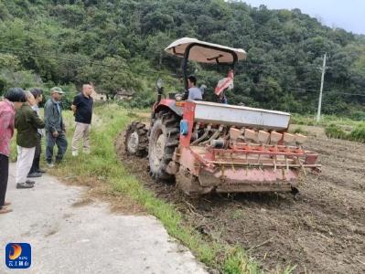 大畈镇：抢抓农时忙秋播 农技护航保丰收 