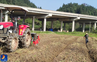 燕厦乡：抢抓秋播黄金时节，持续巩固油菜扩种成果