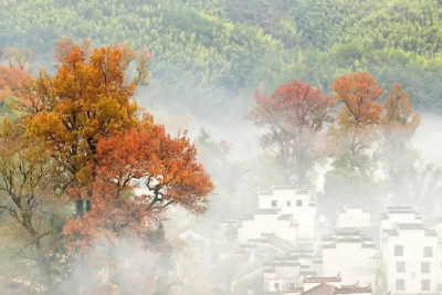 【凤池夜读】第957期丨李伟豪朗读《秋》 